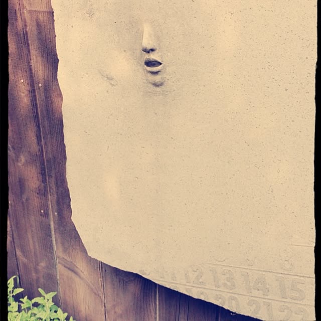 eriさんの実例写真