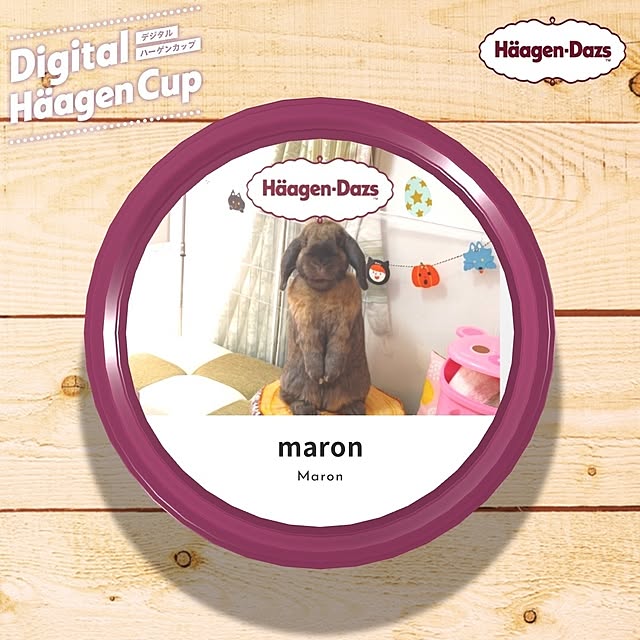 mariaさんの実例写真