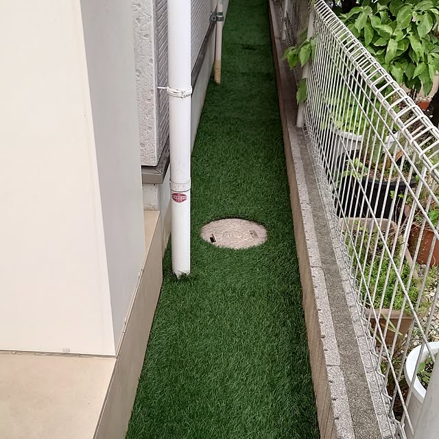 noguriさんの実例写真