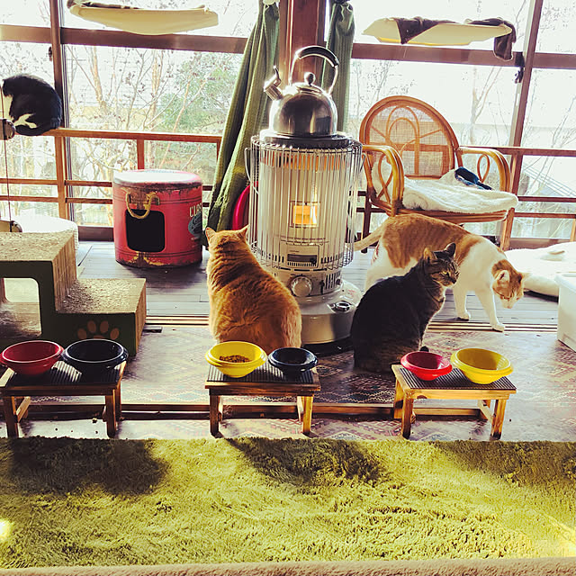 Oreoさんの実例写真