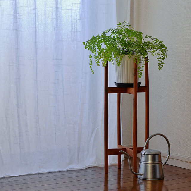 観葉植物/シンプリスト/玄関/入り口のインテリア実例 - 2023-02-03 18:47:49