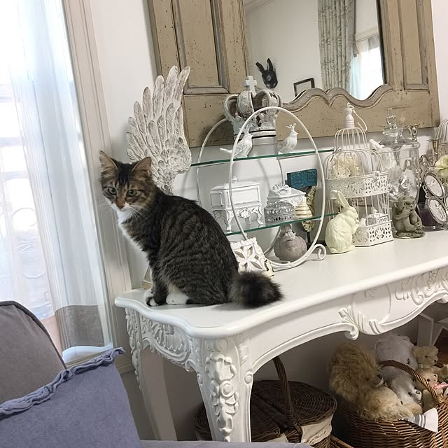 yuchiさんの実例写真