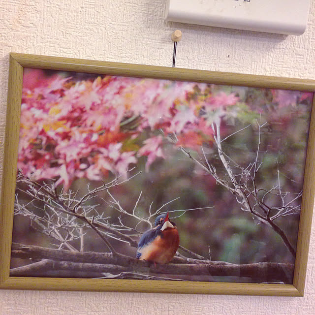 takakuzenさんの実例写真