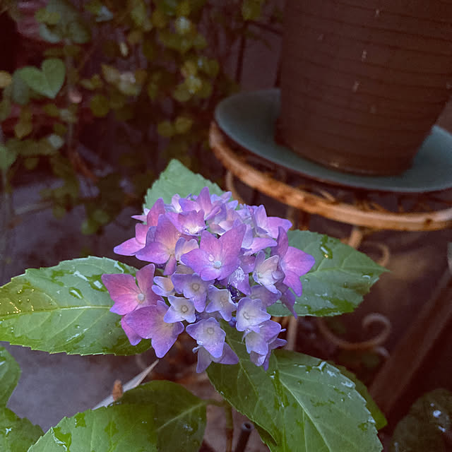 keikoさんの部屋