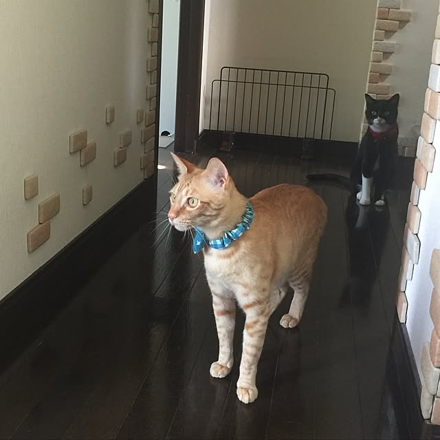 mtkさんの実例写真