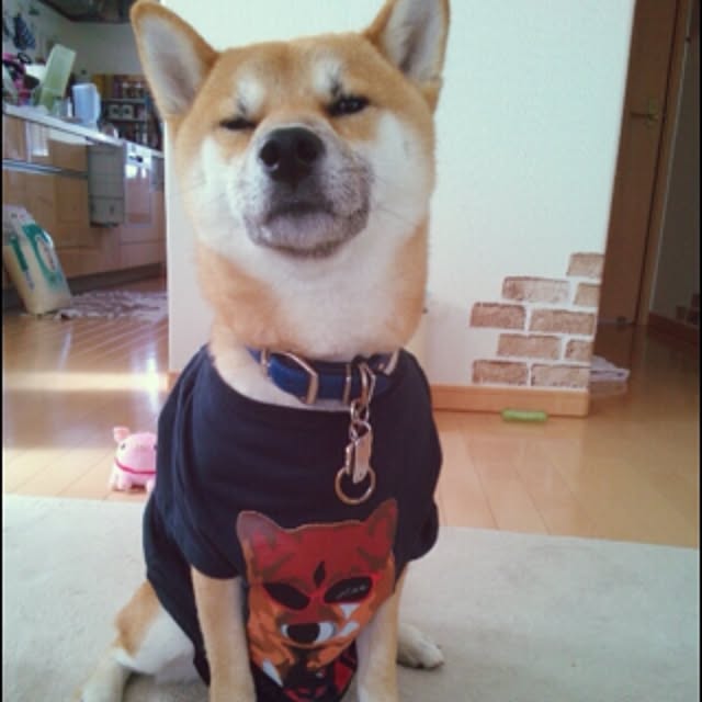 kotaさんの実例写真
