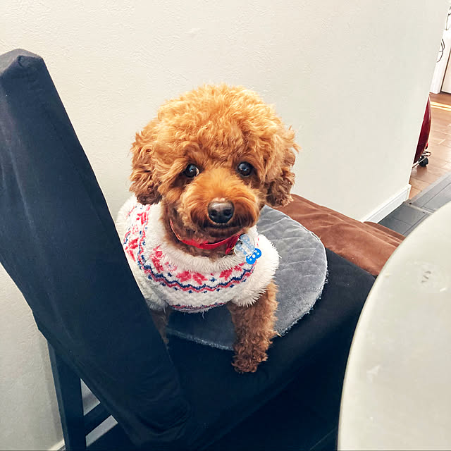 MOMOMAMAさんの実例写真