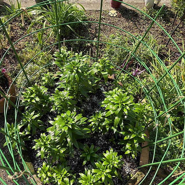 ritsukoさんの部屋