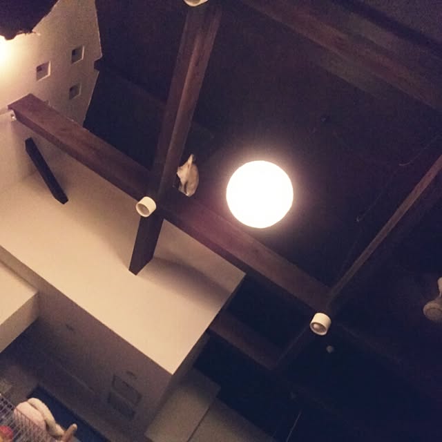 bonkiyoさんの実例写真