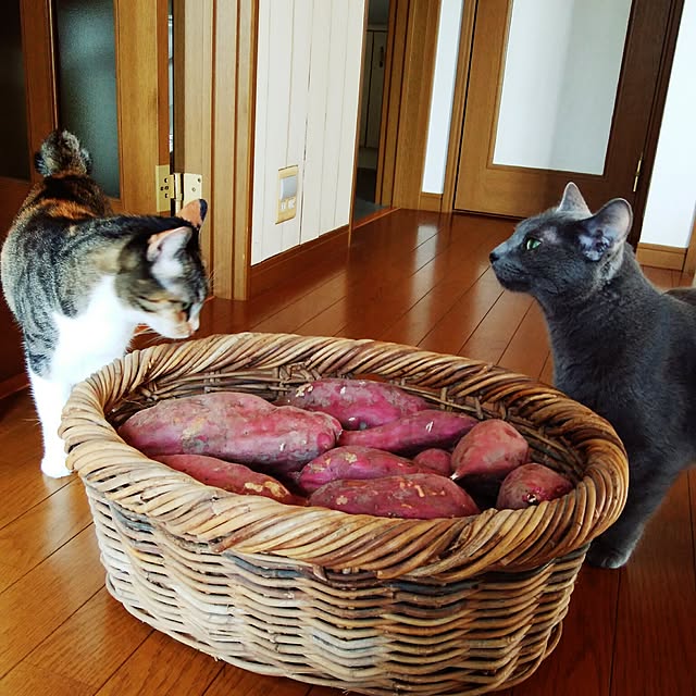 tomo1220さんの実例写真