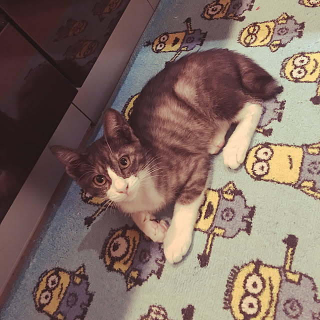 NEREさんの実例写真