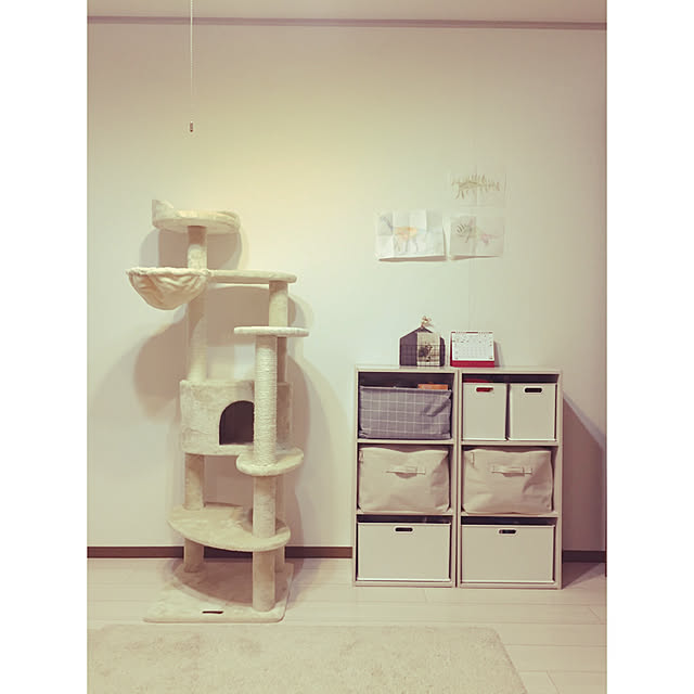 nocomomさんの実例写真