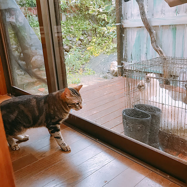 pepeさんの実例写真