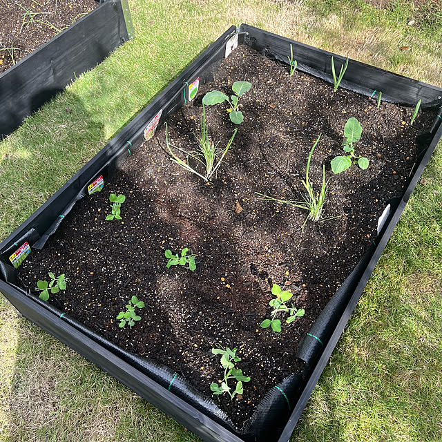 Virolさんの部屋