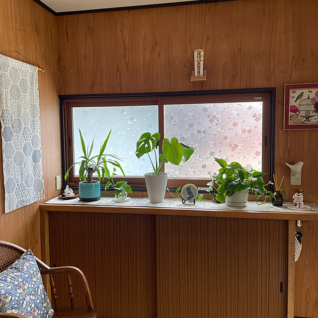 hachitomo9324さんの部屋