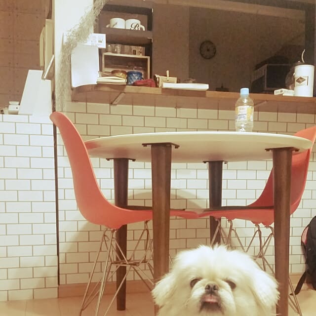 yukagomaさんの実例写真