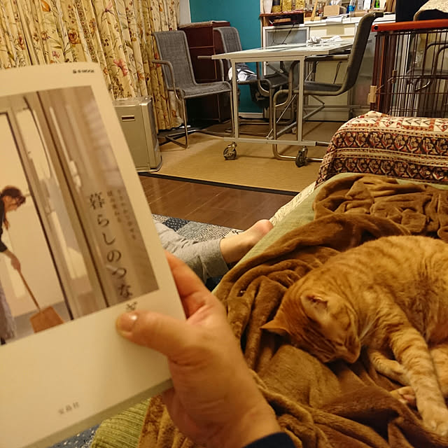 okyosan101さんの実例写真