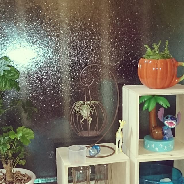 yukixx328さんの実例写真