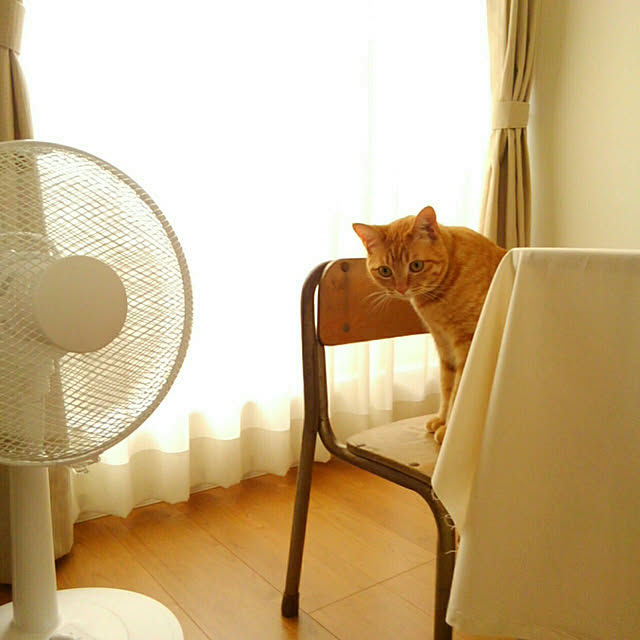 mayutan.さんの実例写真