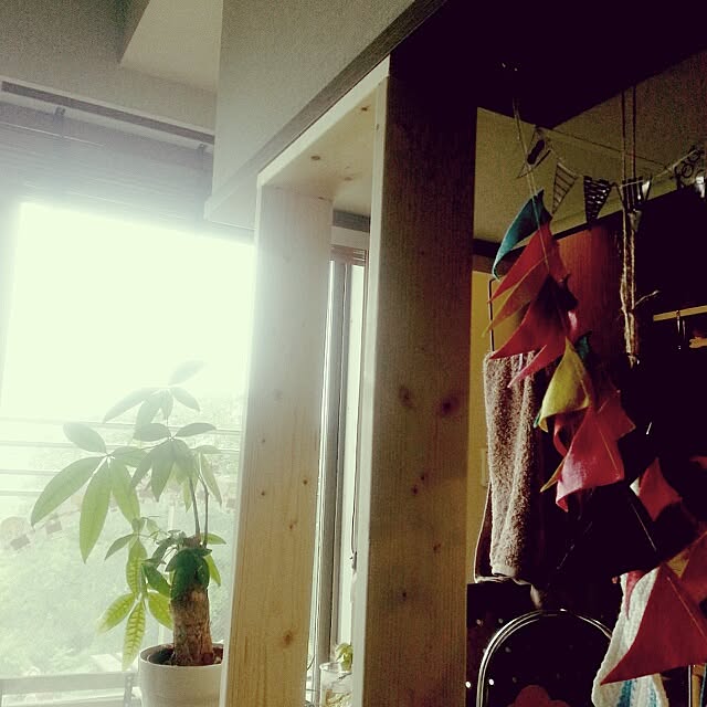 ynecoさんの実例写真