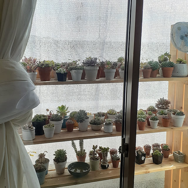amtさんの実例写真