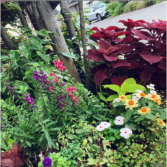 yukarin-gardenさんの実例写真