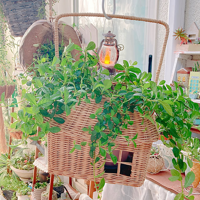 Hanakaさんの部屋