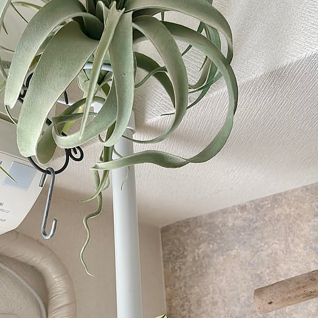 REI015mさんの部屋