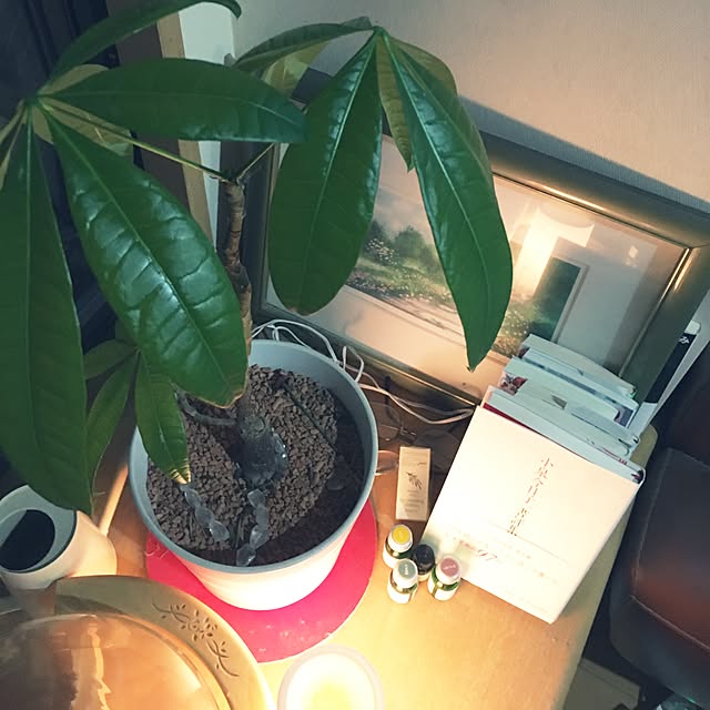 natuさんの実例写真