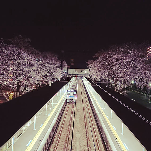 実例写真