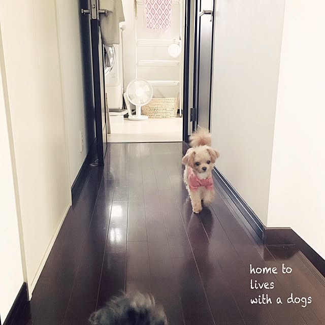 risaさんの実例写真