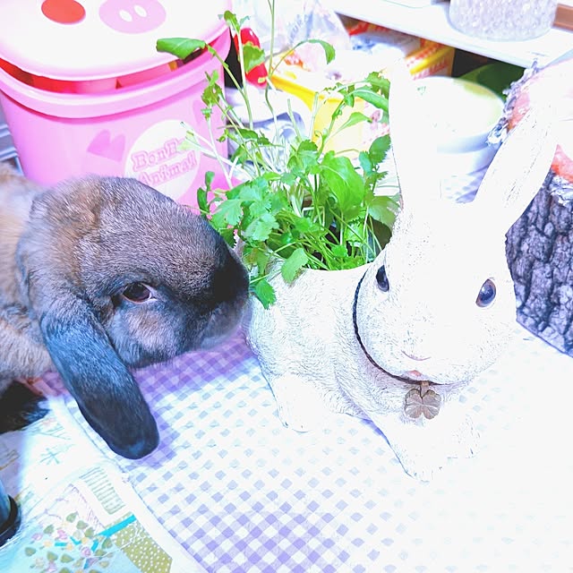 mariaさんの実例写真