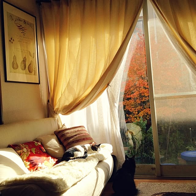 minereaさんの実例写真