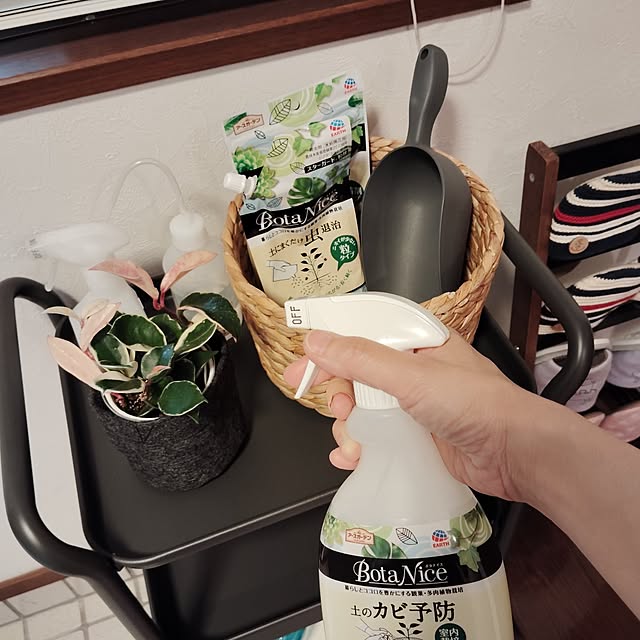momomamaさんの実例写真
