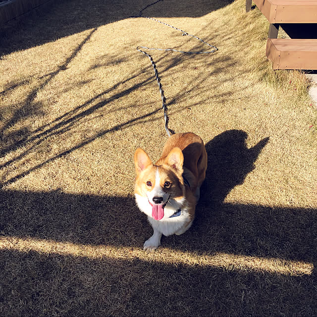 7chuna2さんの実例写真