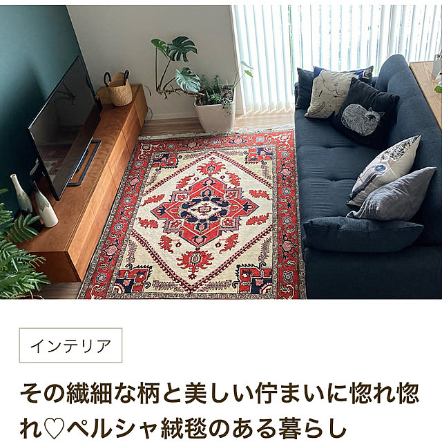 colorerさんの実例写真