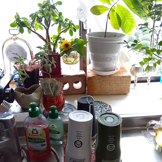 coco1204さんの部屋