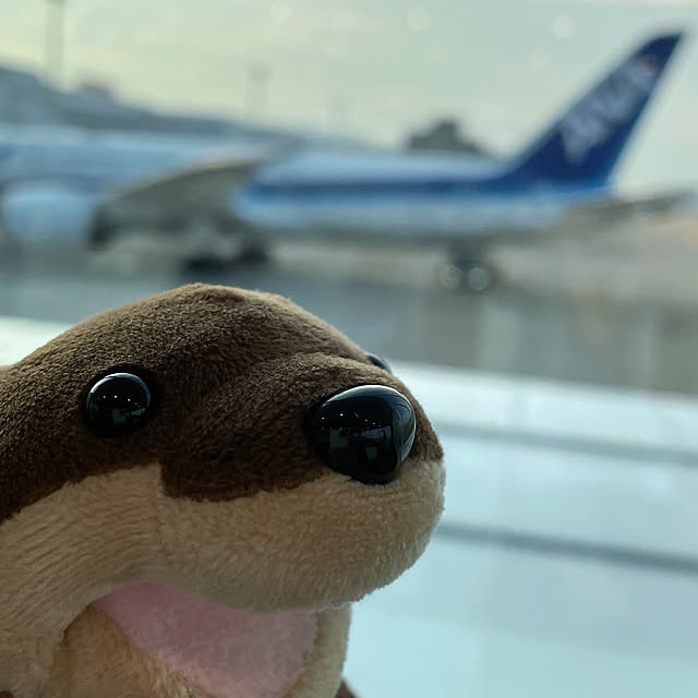 aureaさんの実例写真