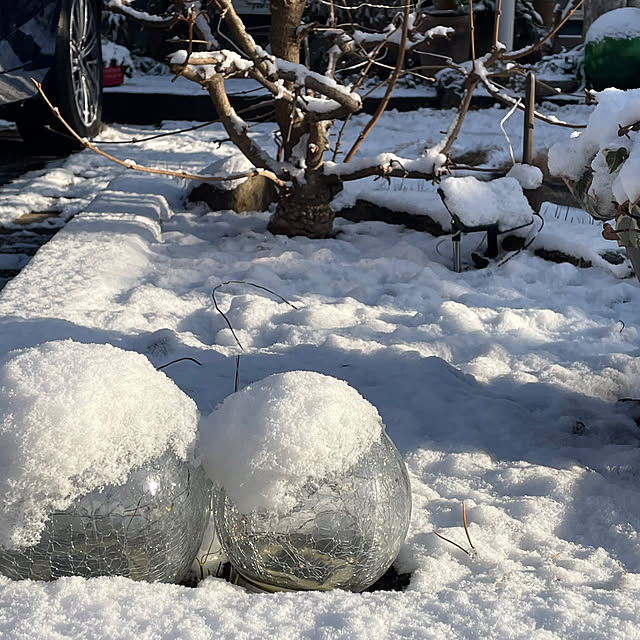 nobikoさんの部屋