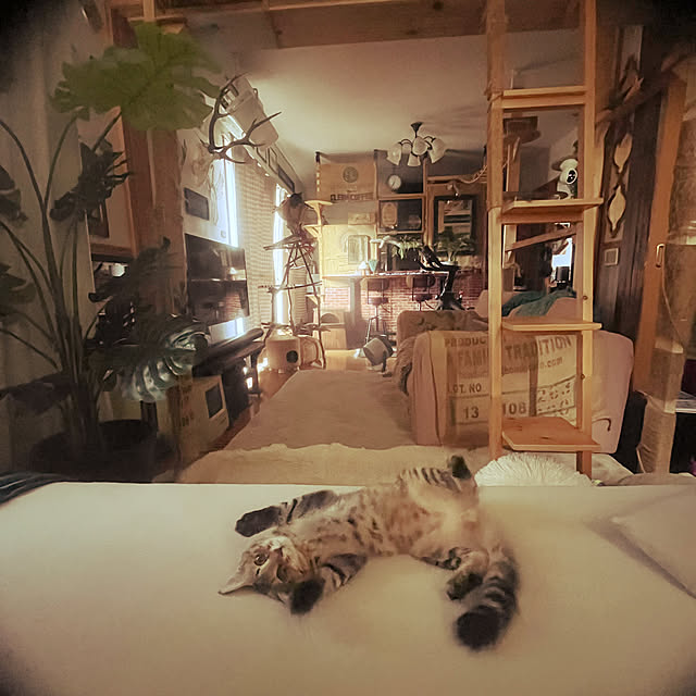 Mさんの実例写真
