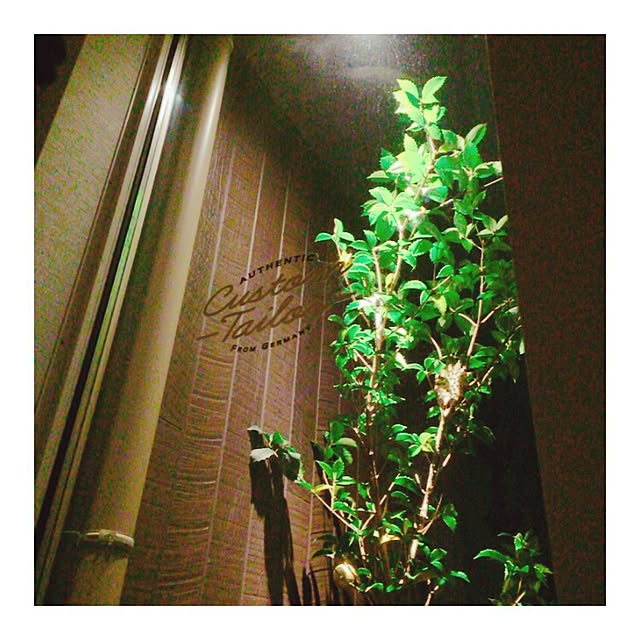 ___yoko.rtyさんの実例写真
