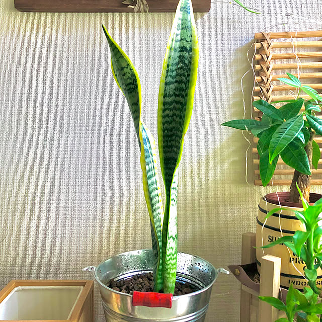 M_Mさんの部屋