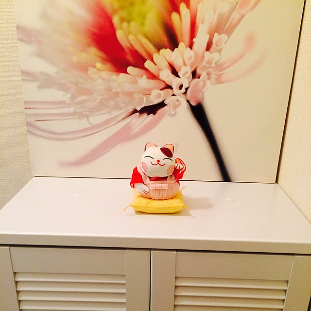 sae09015791さんの実例写真