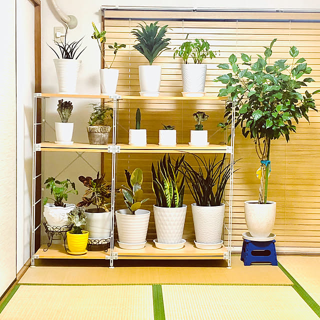 hanachanさんの部屋