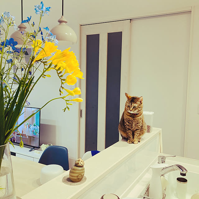 minminさんの実例写真