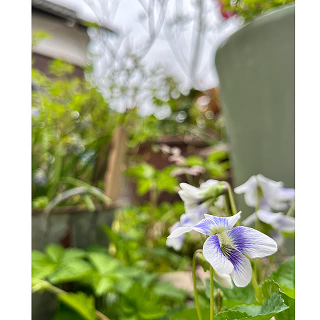 cotaさんの部屋