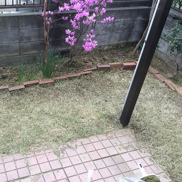 Kimikoさんの実例写真