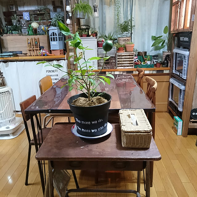 tikuwaさんの実例写真