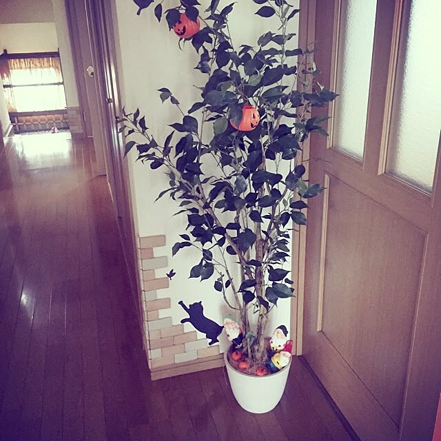 Manamiさんの実例写真
