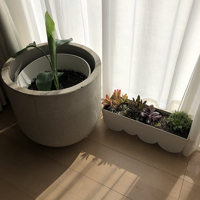 SAKさんの実例写真